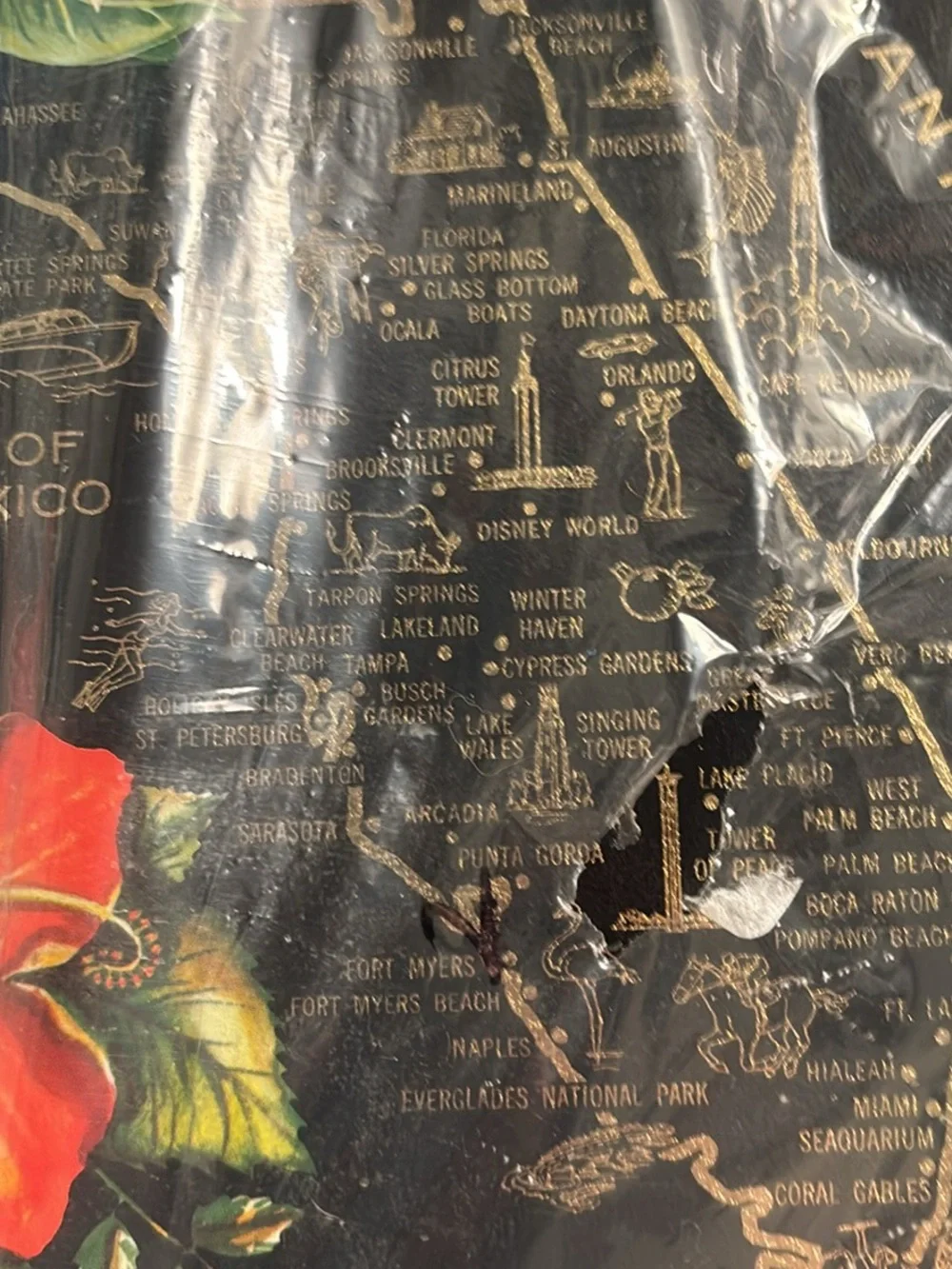 Vintage New Florida Souvenir Tray & 6 Coasters 70’s